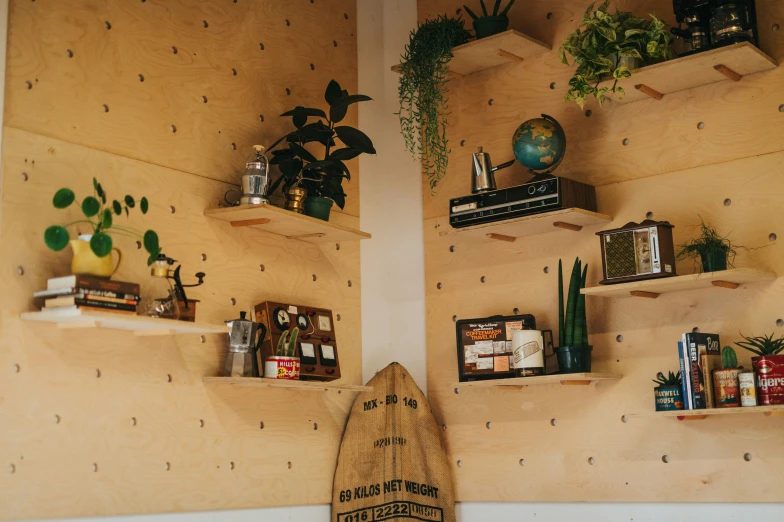 several shelves of plants and objects in a room