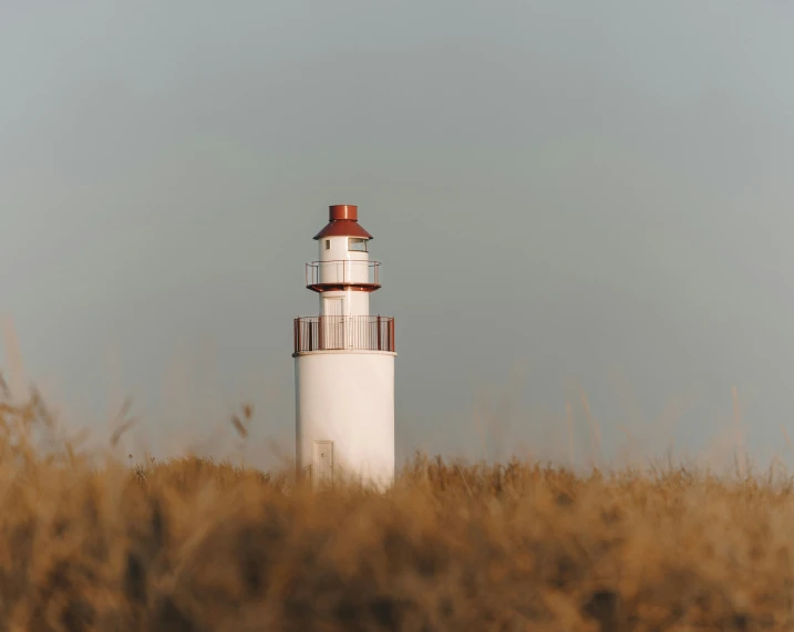 a tall white and brown tower sitting in a tall field