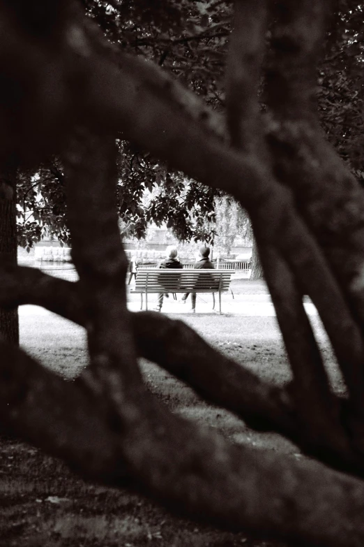 a couple of park benches sitting in the middle of a park