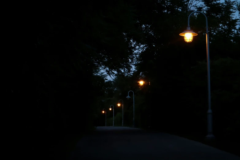 a street light lit up on the side of a path