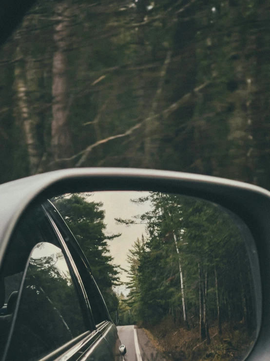 a car window as it zooms in on a road near trees