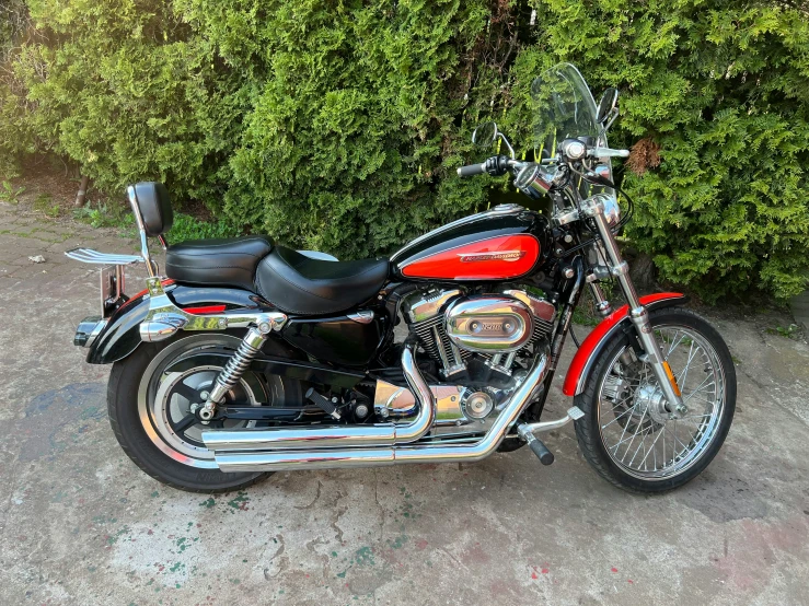 a red motorcycle parked on the pavement next to green plants