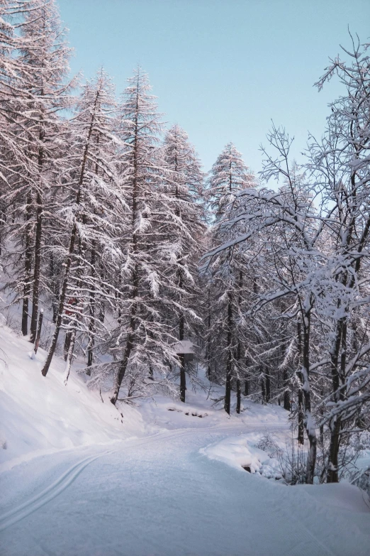 a view of a path in the snow