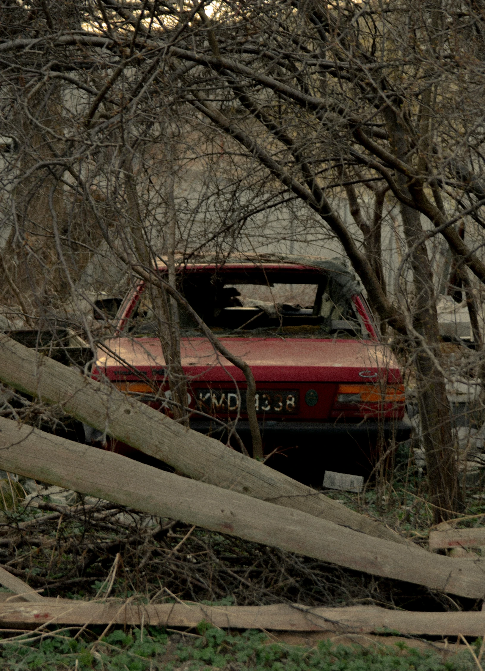 an old pickup truck sits in the woods