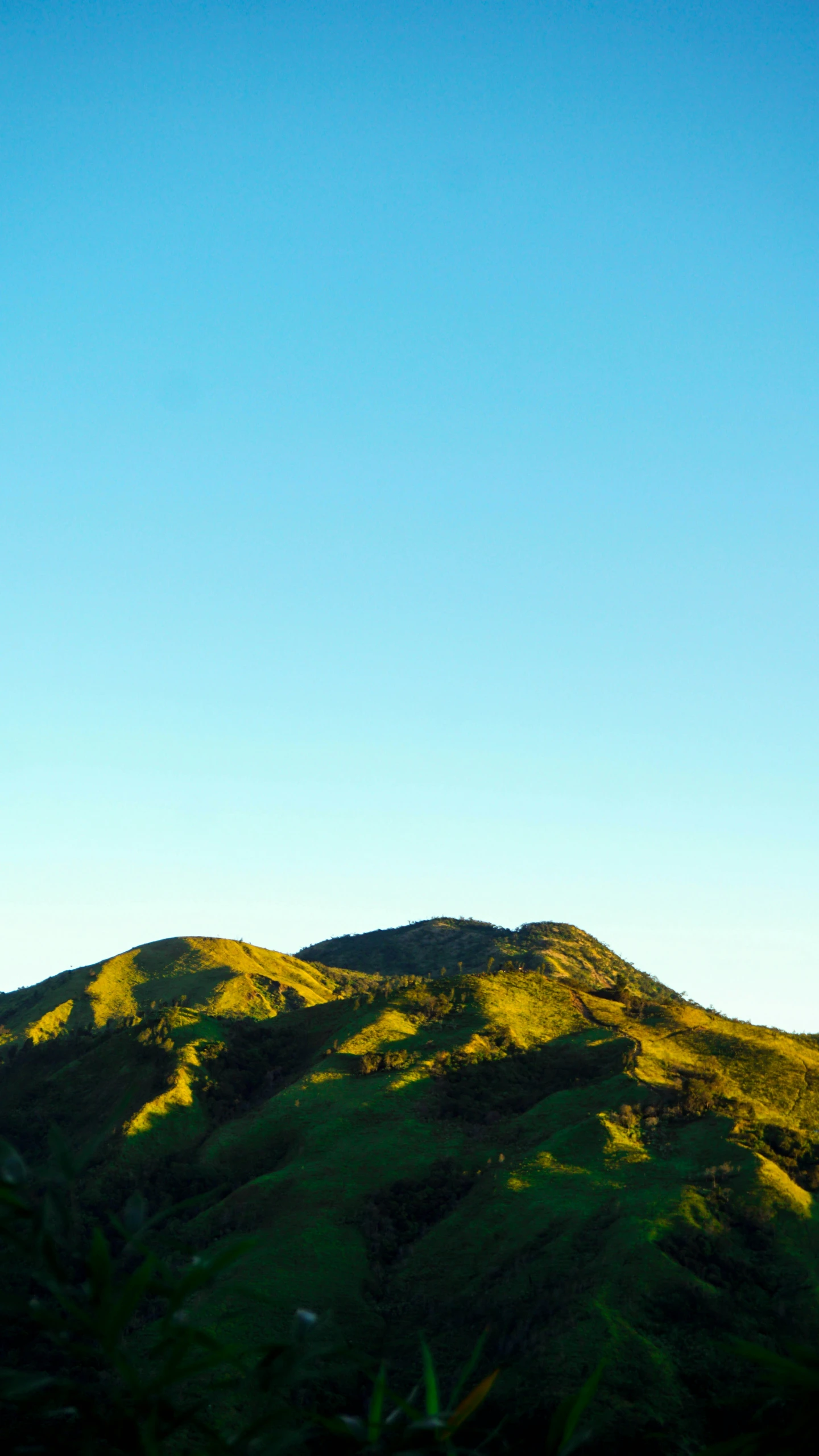 a airplane is flying high above a green mountain