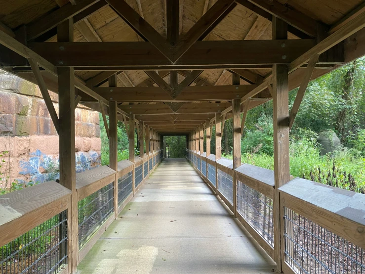 walkway in wooded area with lots of wood posts