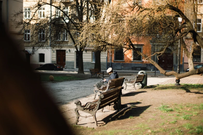 people are sitting on the bench near the tree