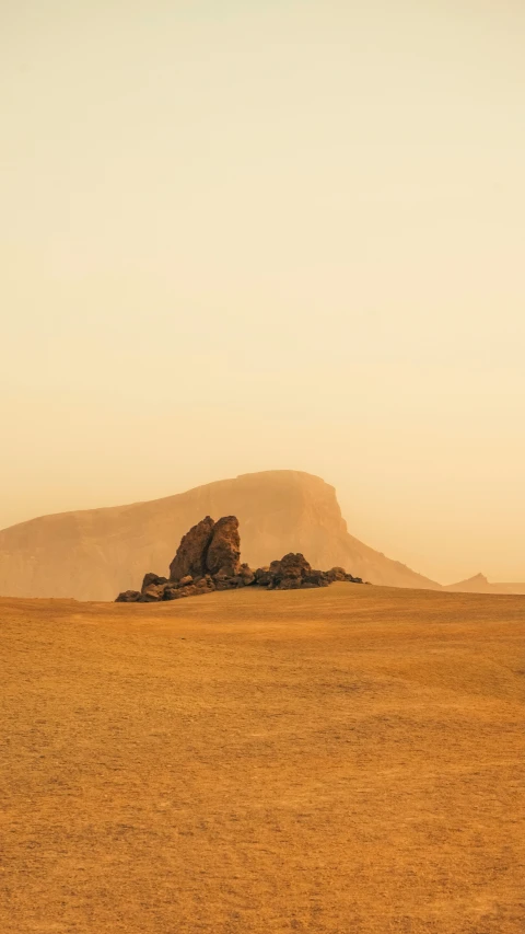 lone ze in an arid plain during the daytime