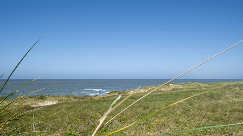 a bench with sea and grassy hills in the background