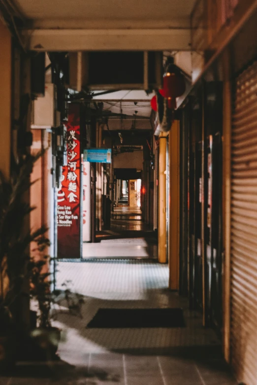 a hallway in a chinese house with signs and flowers on the wall