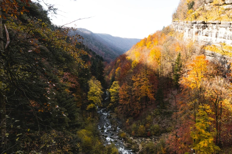 the mountains have colorful foliage and water flowing down them