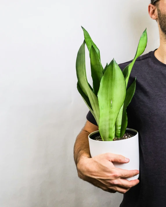 a man holding a potted plant in it's palm