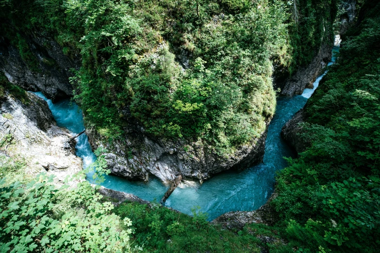 a river flowing between green forest and a large cliff