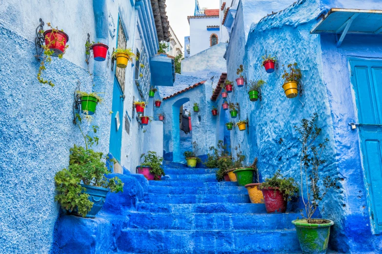 a set of steps that have pots with flowers and potted plants in front