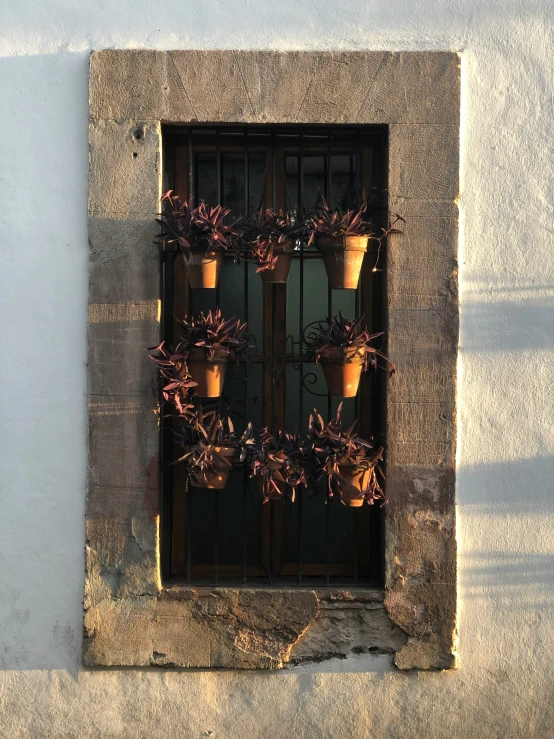 a window that has potted plants on the side