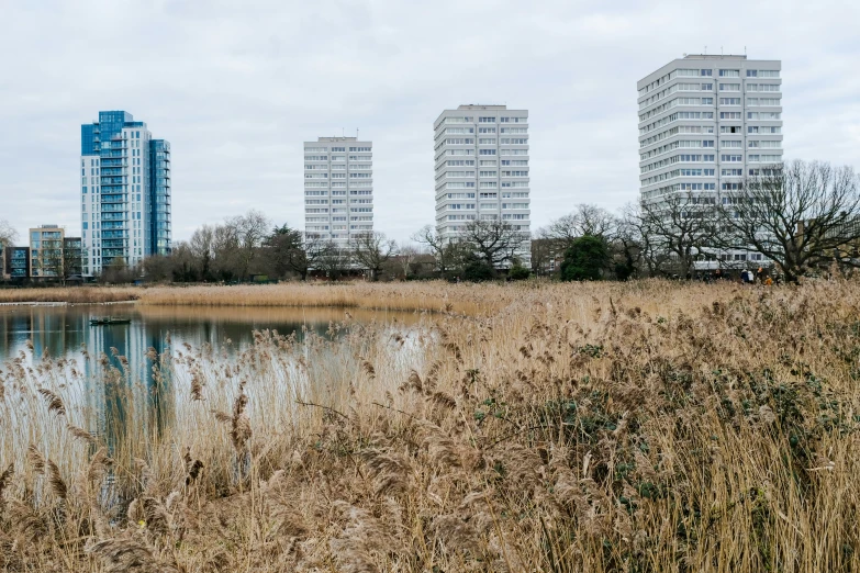 tall buildings in a large, grassy area next to water