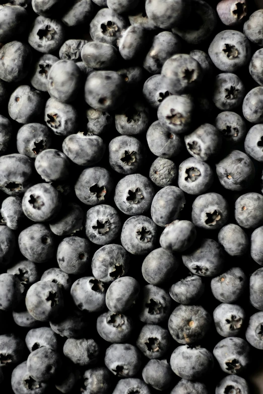 a close up of the seeds of a berry