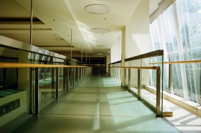 the hallway has several glass walls leading to the window