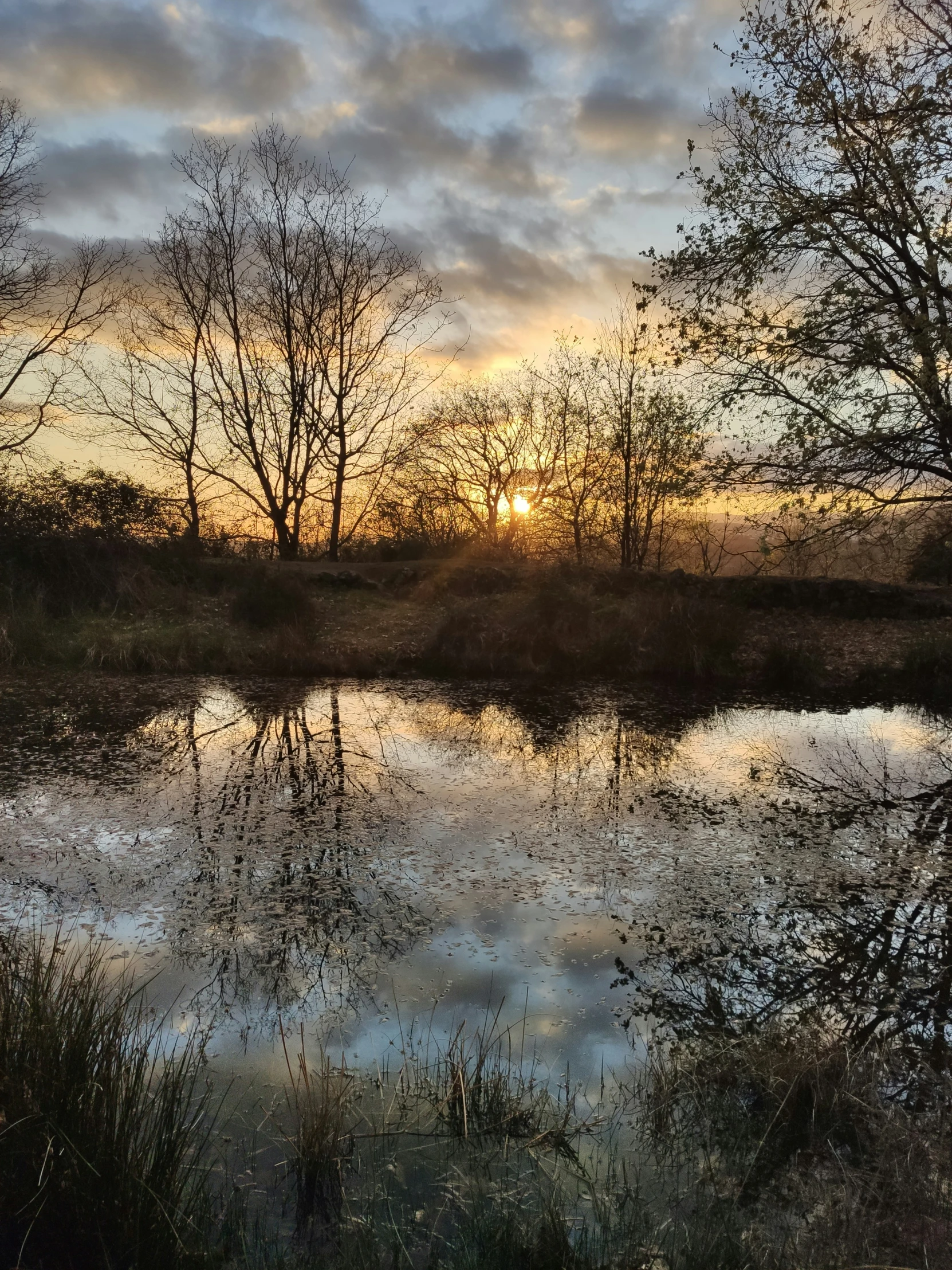 the sun is going down over a small pond