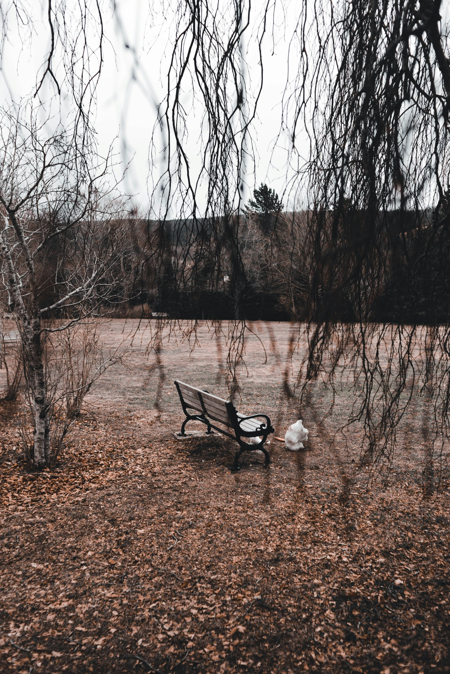 a park bench sits on dry leaves and is covered by tree nches