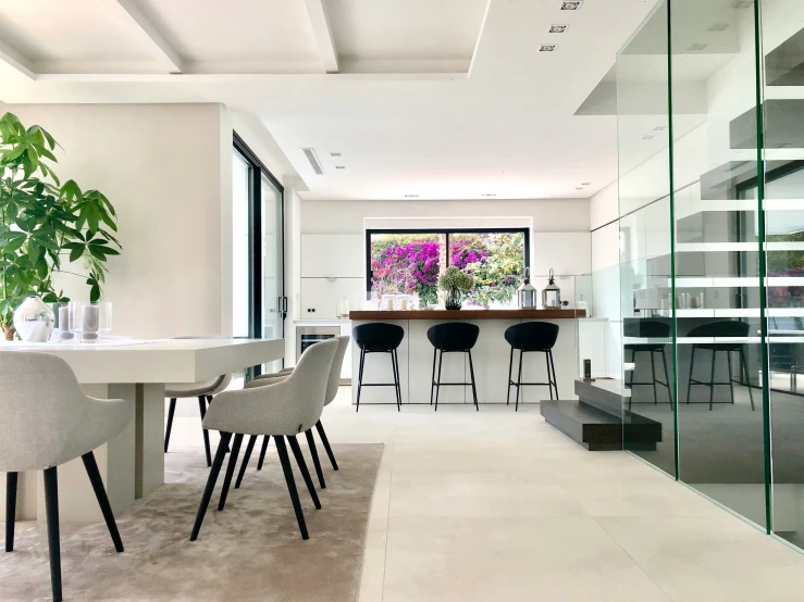 white dining room with glass partition, chairs and potted plant