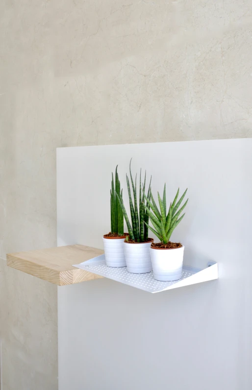 plants sit on small white shelves against a neutral wall