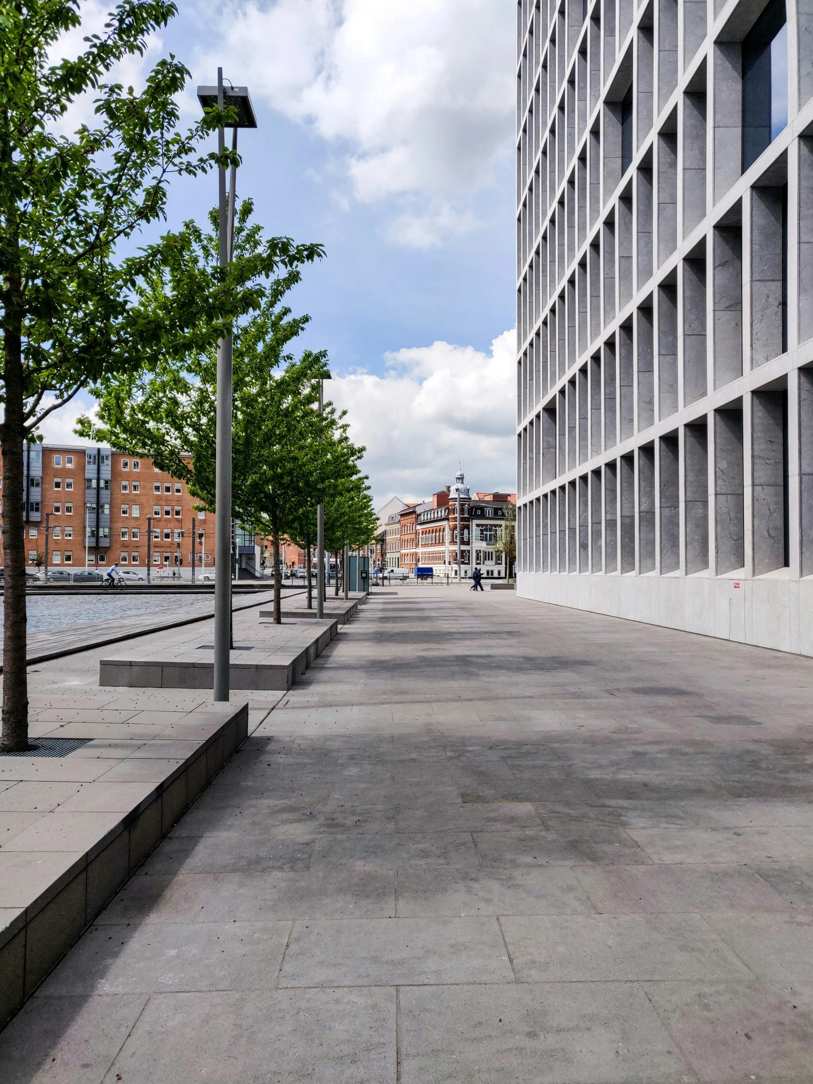 empty street with gray pavement surrounded by trees