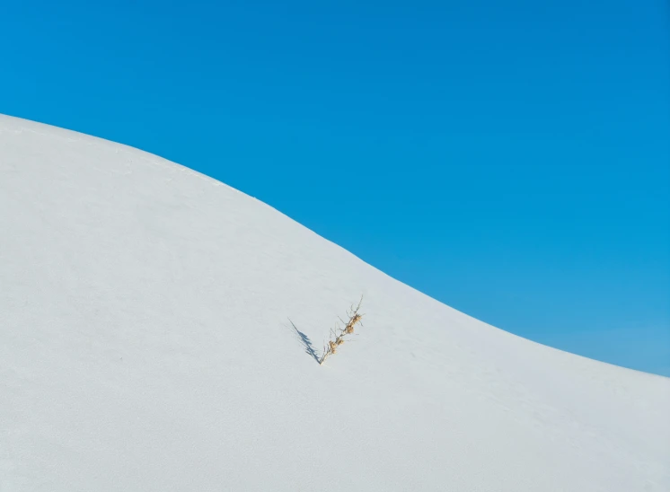 the lone ski pole is in the white snow