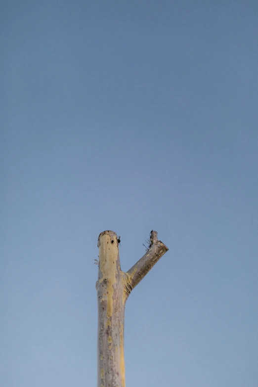 a tall wooden pole sitting under a blue sky