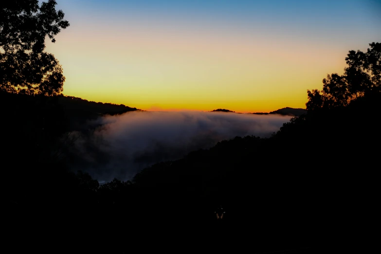 trees in the distance on top of a hill