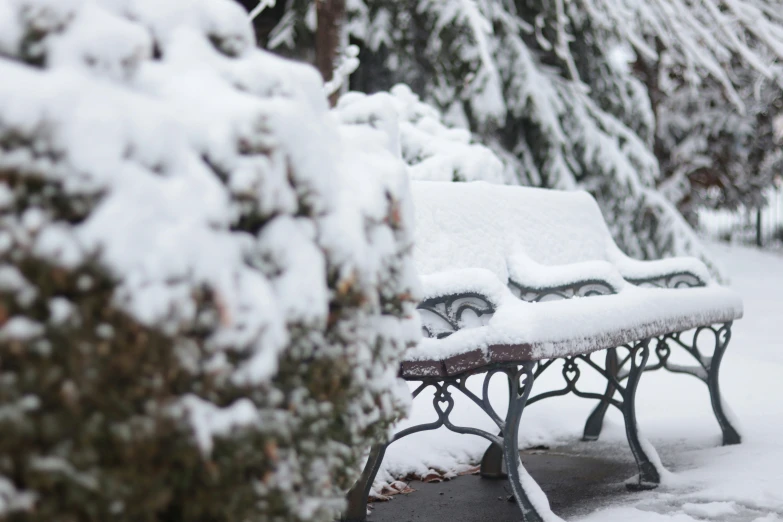 a bench covered in snow next to a tree