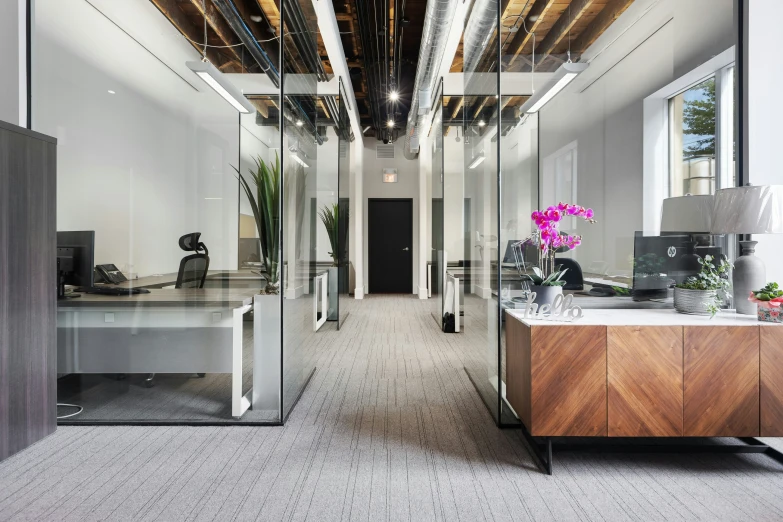 this is an office with a nice long wall and plant