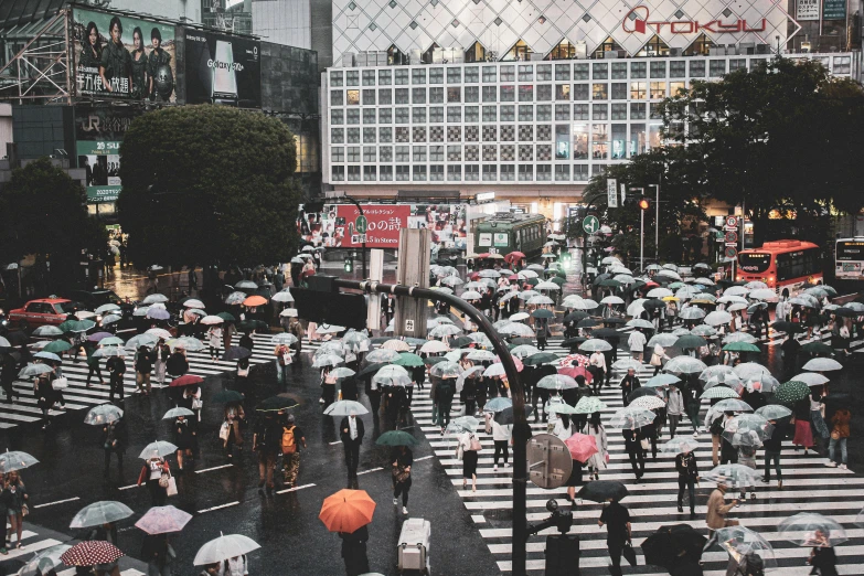 a crowd of people holding umbrellas cross the street