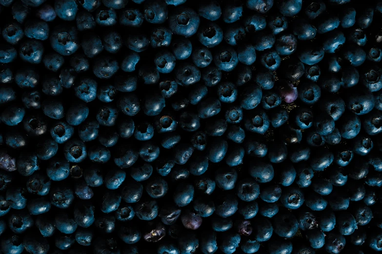 a large cluster of blueberries are pictured overhead