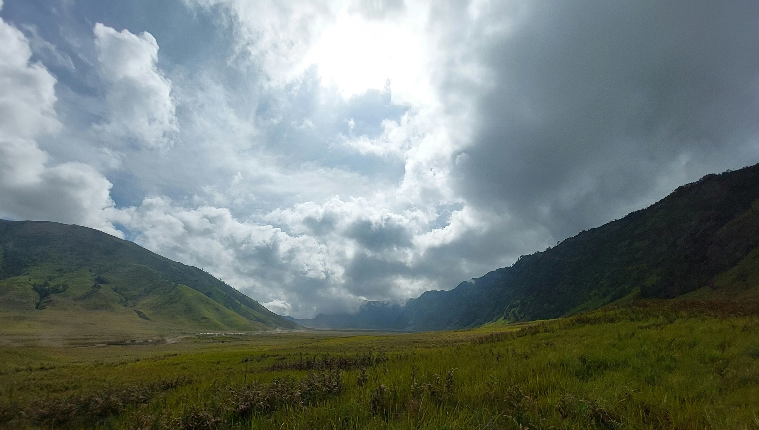 the grass is green and high up in the mountains