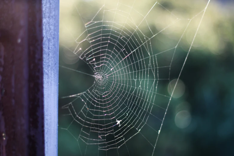 a spider web sitting on top of a wooden door