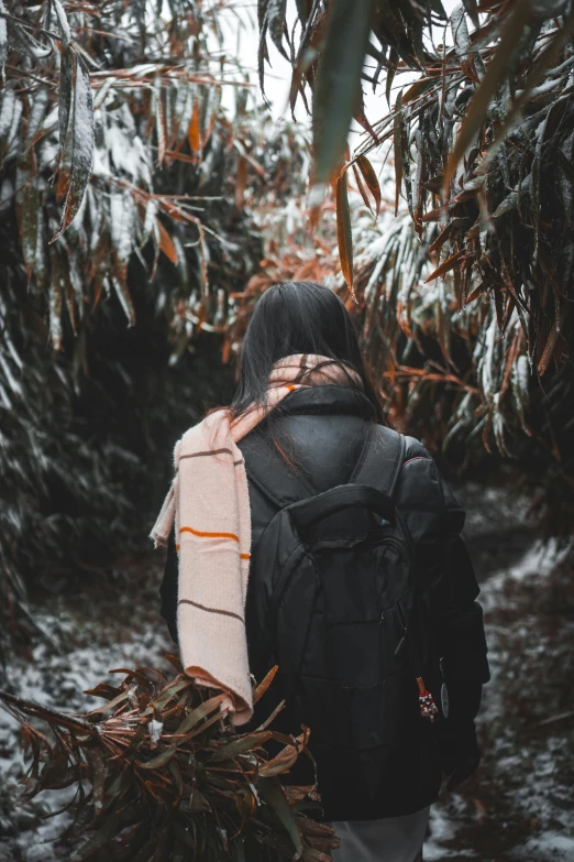 a woman with a back pack walking in the snow