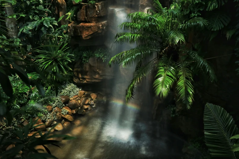 a waterfall in a forest with lots of trees