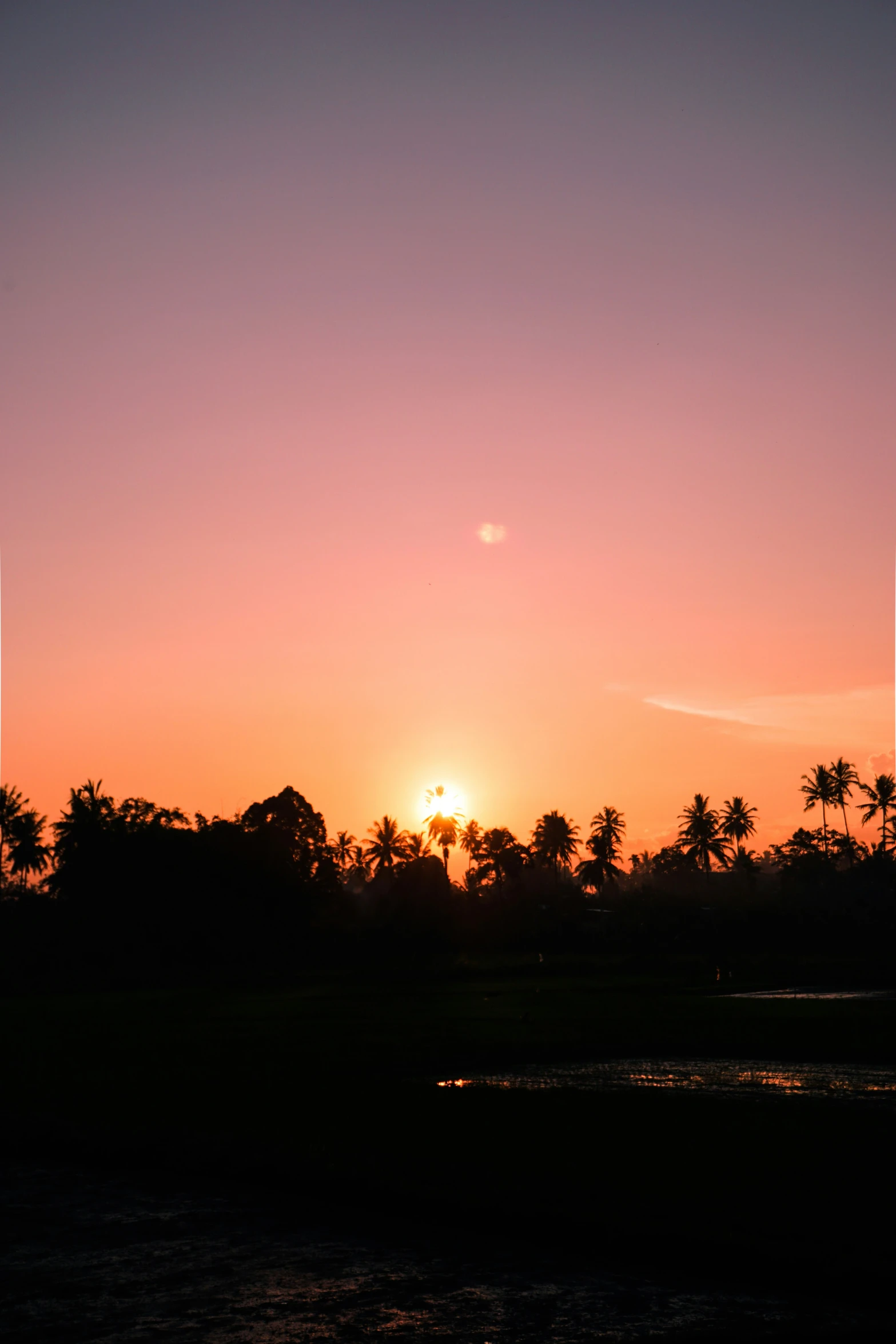 a very pretty sunset with palm trees and clouds