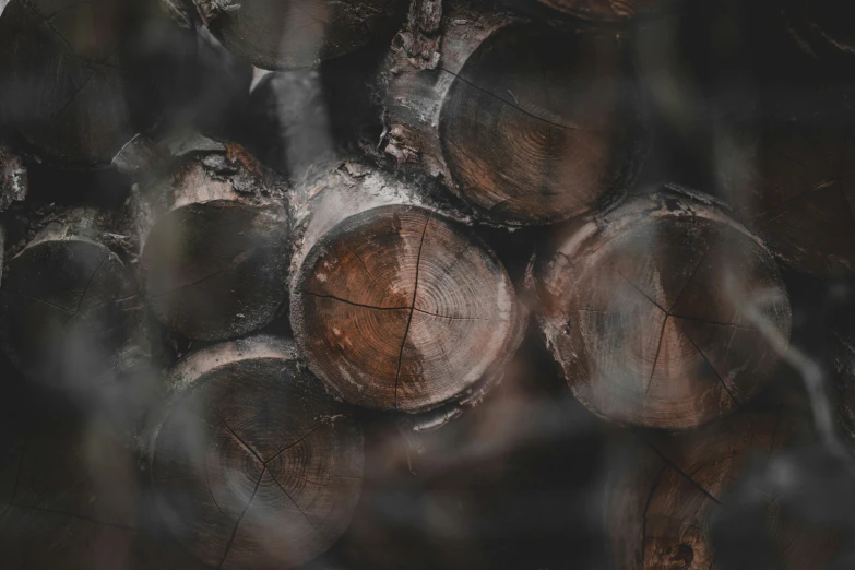 some logs stacked together in the woods