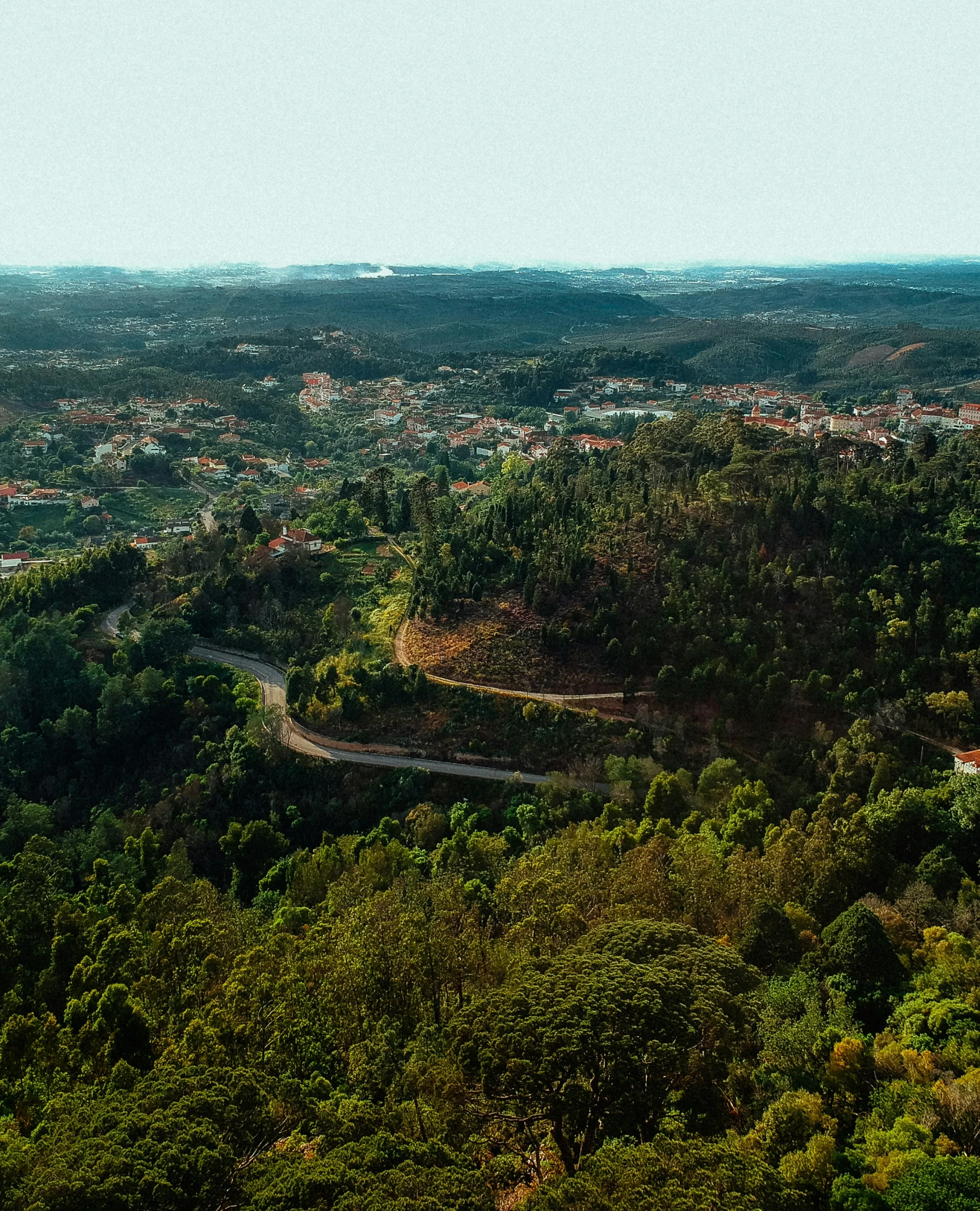 an aerial view of trees and cityscape