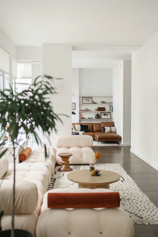 a living room filled with white couches and a green tree