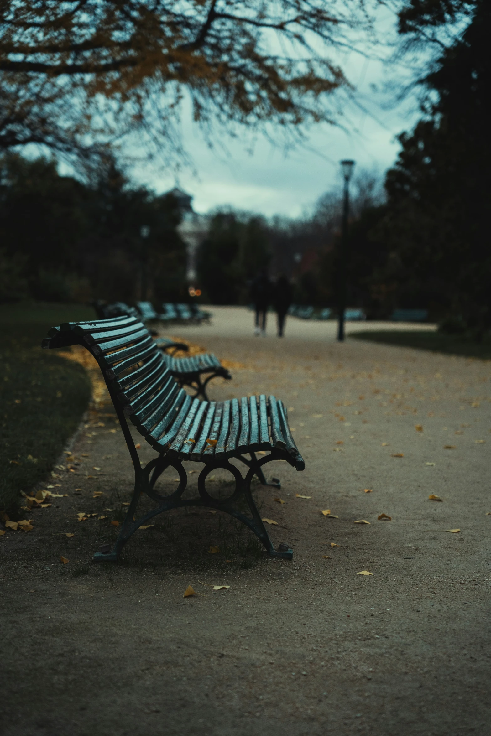 there are many benches that can be found at this park