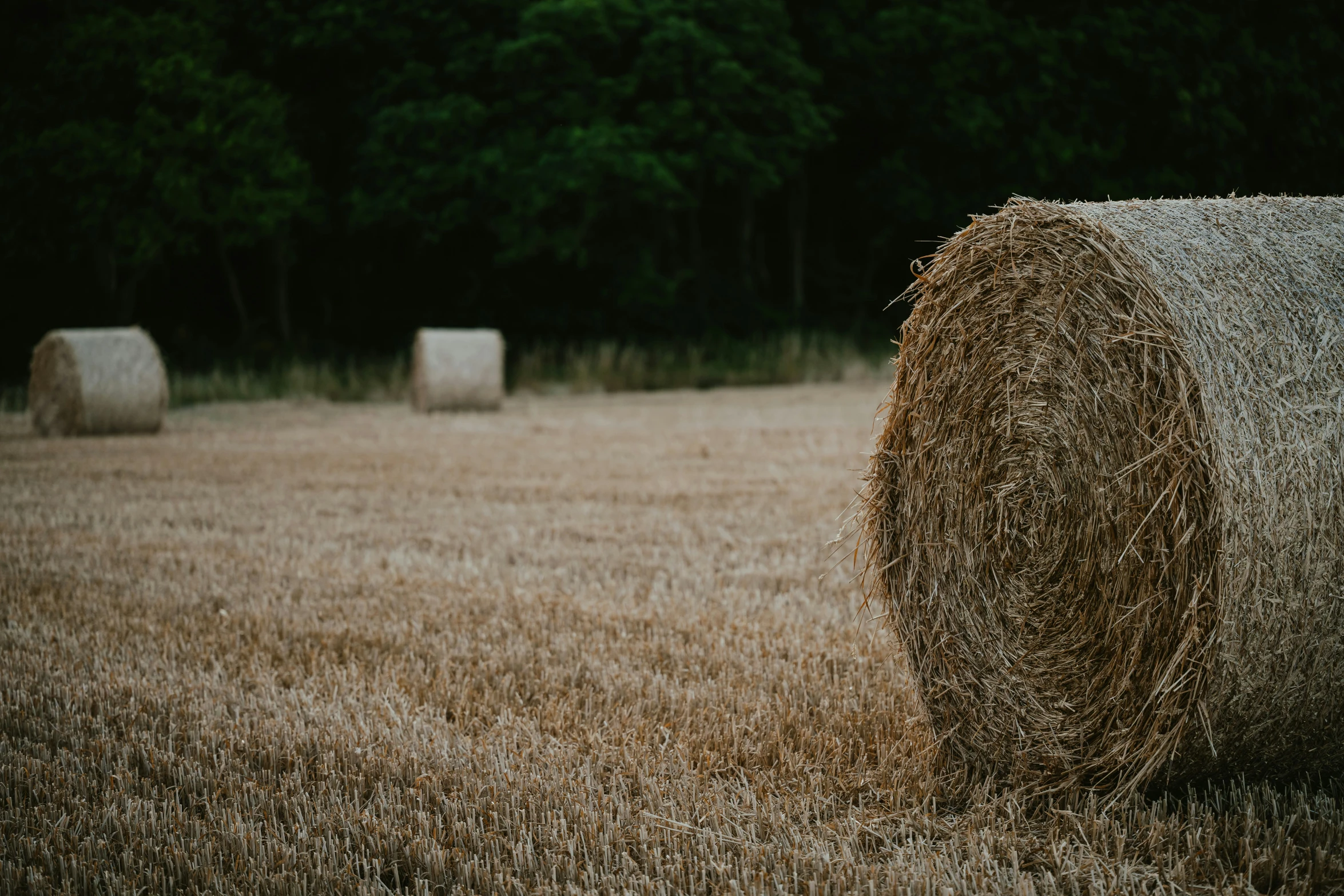 two hay bales in a field with trees in the background