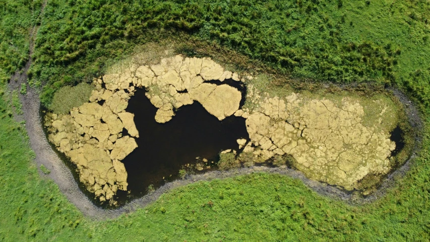 an aerial s of land showing some trees and a river