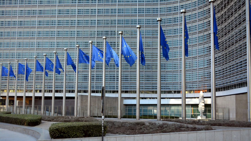 european flags are lined up on the outside of a building