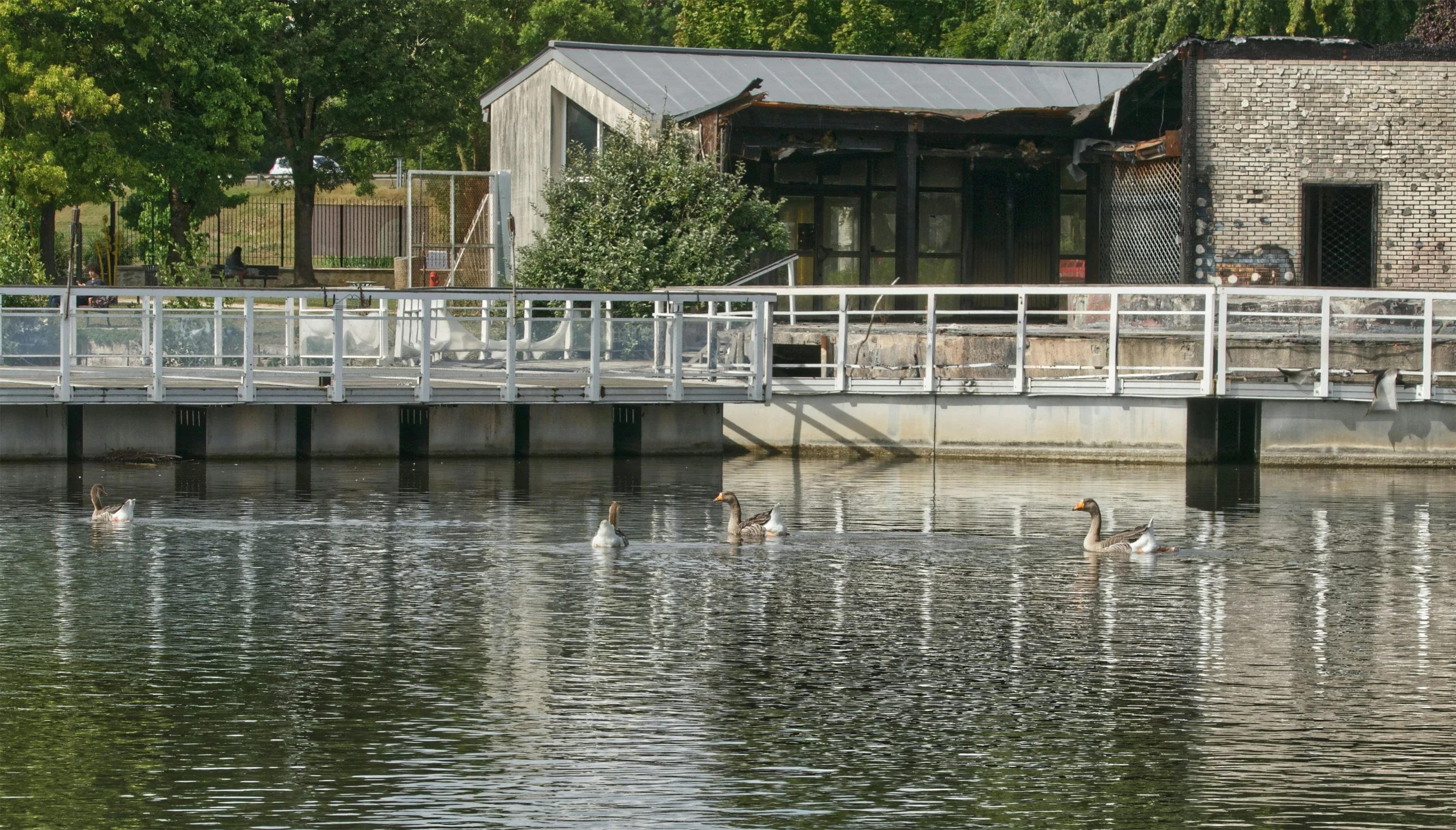 a bridge over water that is surrounded by trees