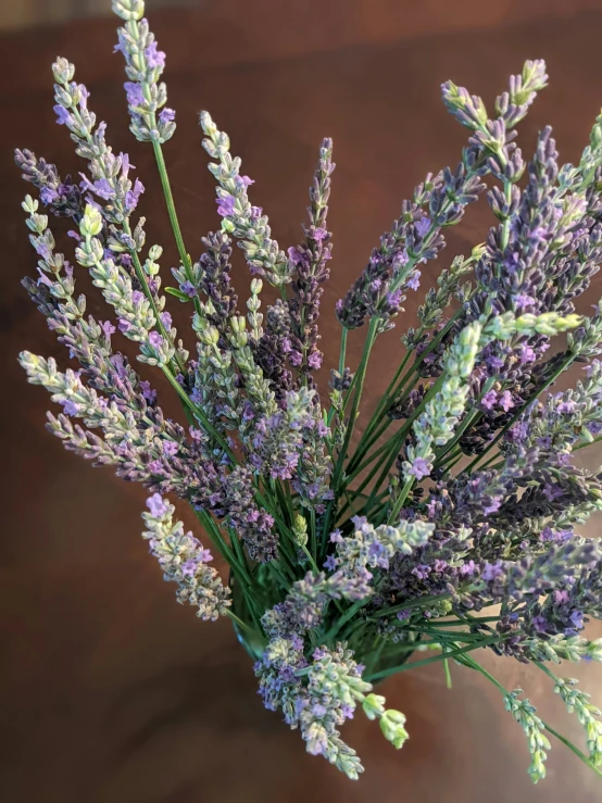 a lavender plant is arranged in a square vase