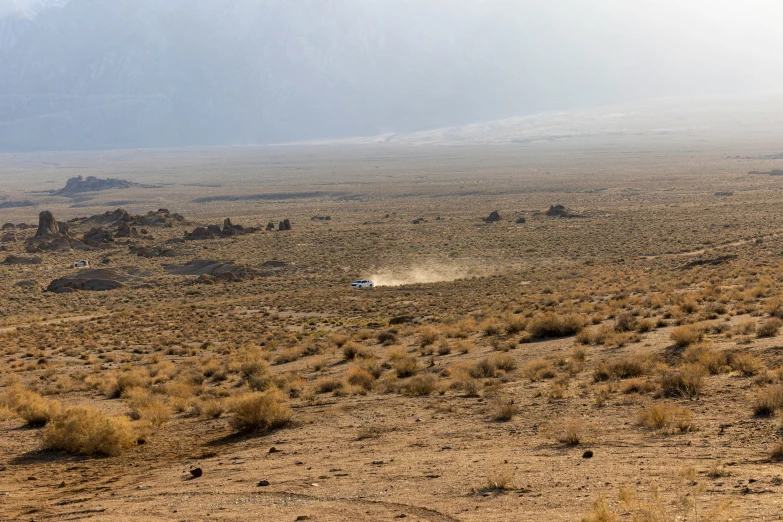 an open landscape is shown with sp vegetation and fog