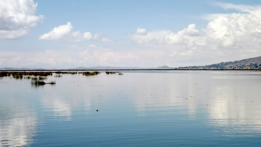 a body of water with some rocks and plants